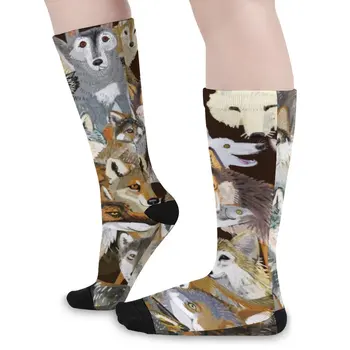 Чорапи Wolf of Belette С забавен домашен любимец дизайн, Корейски Чорапи, Пролетни Нескользящие Чорапи За момичета, Чорапи за скейтборд средно Меки.