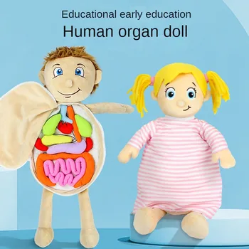 Детски когнитивни играчки Пъзел с човешки органи и структурата на тялото Плюшени играчки за ранното развитие, образователна играчка за детска градина