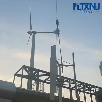 Китайски завод, странично оттичане на вятърен генератор с мощност 1 кВт 24-48 за дома, ферма, градина, Допълнителен контролер MPPT мрежа на инверторе